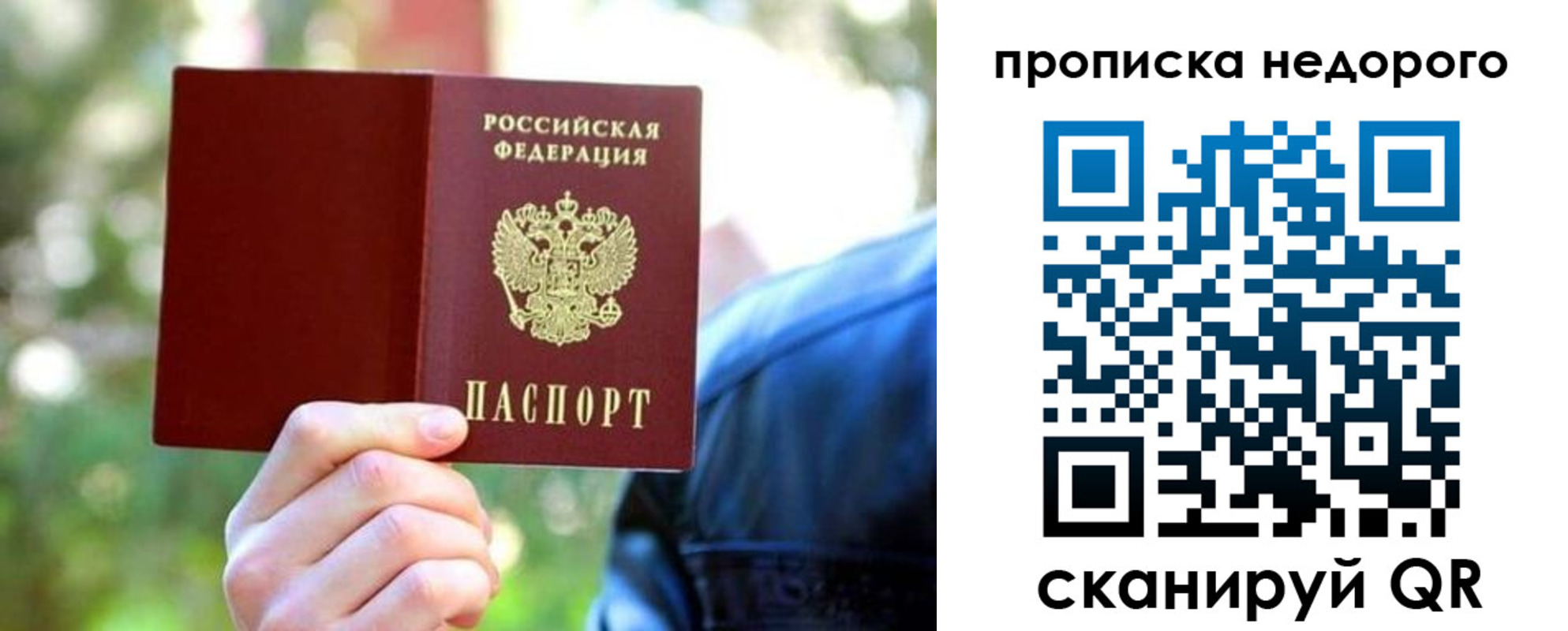 прописка ребенка в Фрязино